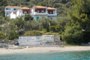 Studia Azalea View